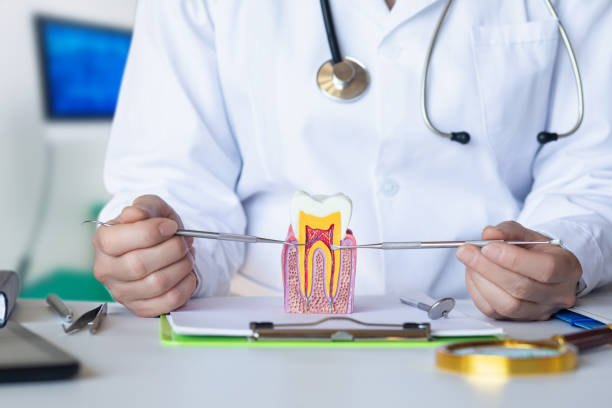 Best Dental Abscess Treatment in Rossvle, IL