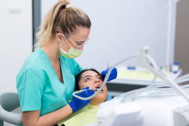Best Emergency X-Rays and Diagnostics in Rossvle, IL